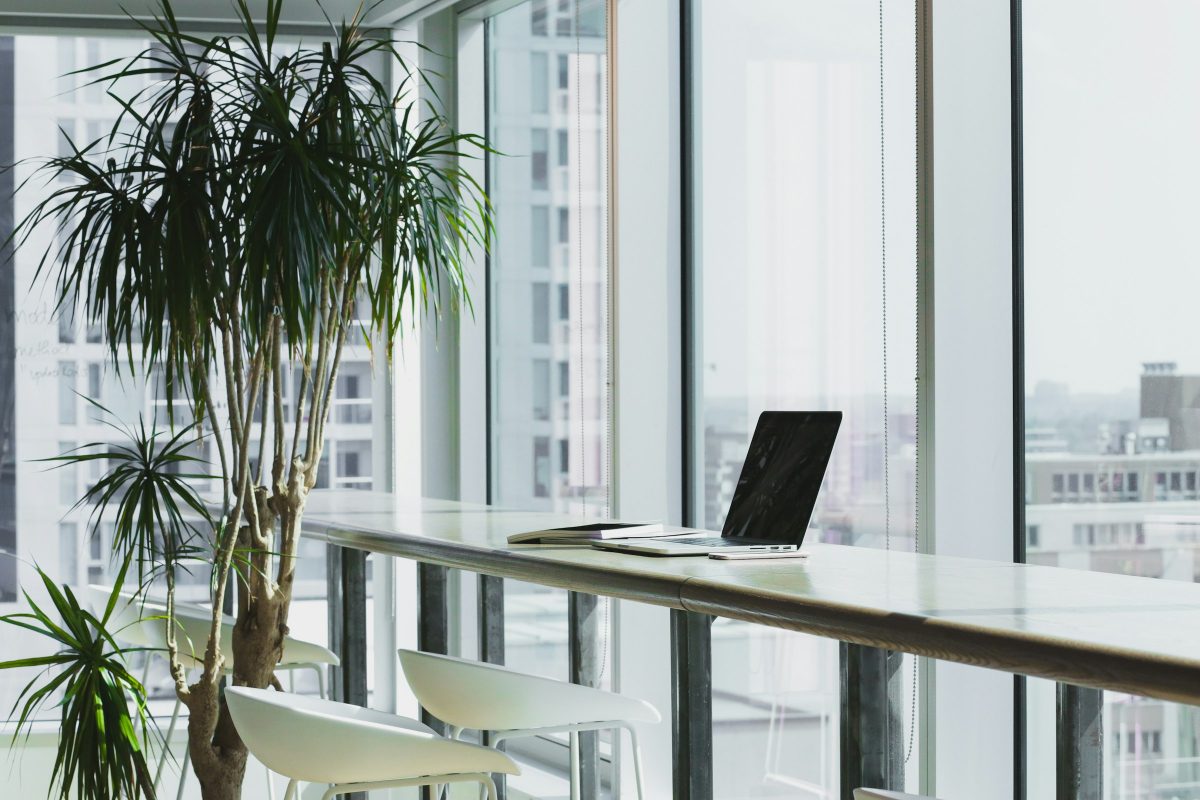 Open laptop and notebooks on a long desk by tall office windows, beside a large potted plant